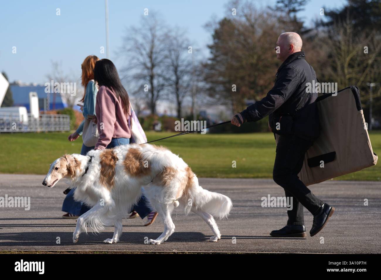 Hunde und Besitzer kommen am ersten Tag der Crufts Dog Show im National ...