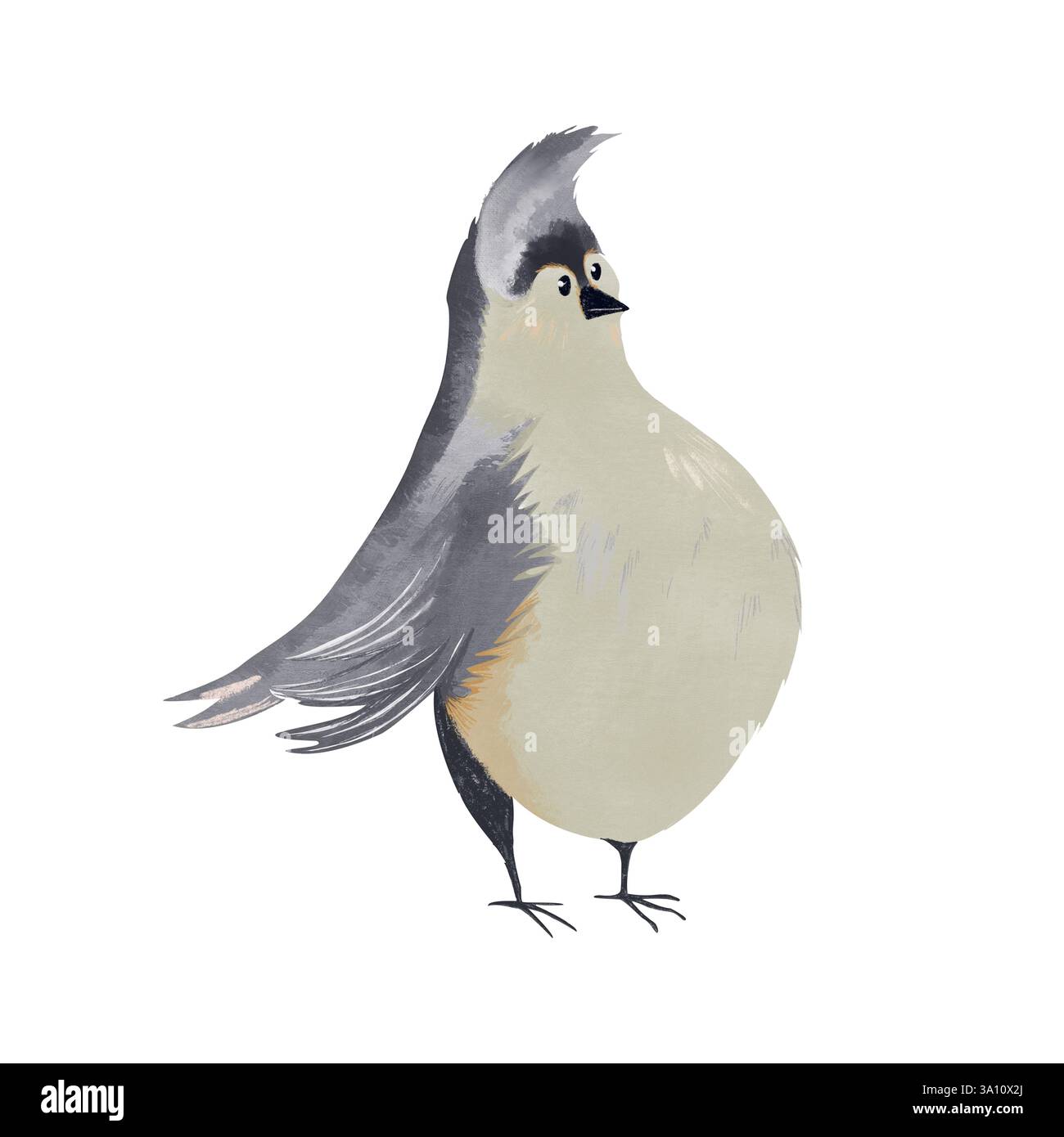 Handgezeichnete Aquarellillustration eines niedlichen grauen Vogels mit Wappen. Weiche Texturen und ein charmanter Kinderbuchstil sorgen für ein gemütliches, skurriles Gefühl. Stockfoto