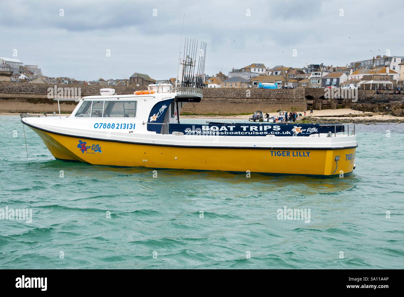 Cornwall - 21. Juni 2024: Tiger Lilly, eines von vielen Booten, die Bootsausflüge in St. Ives anbieten Stockfoto