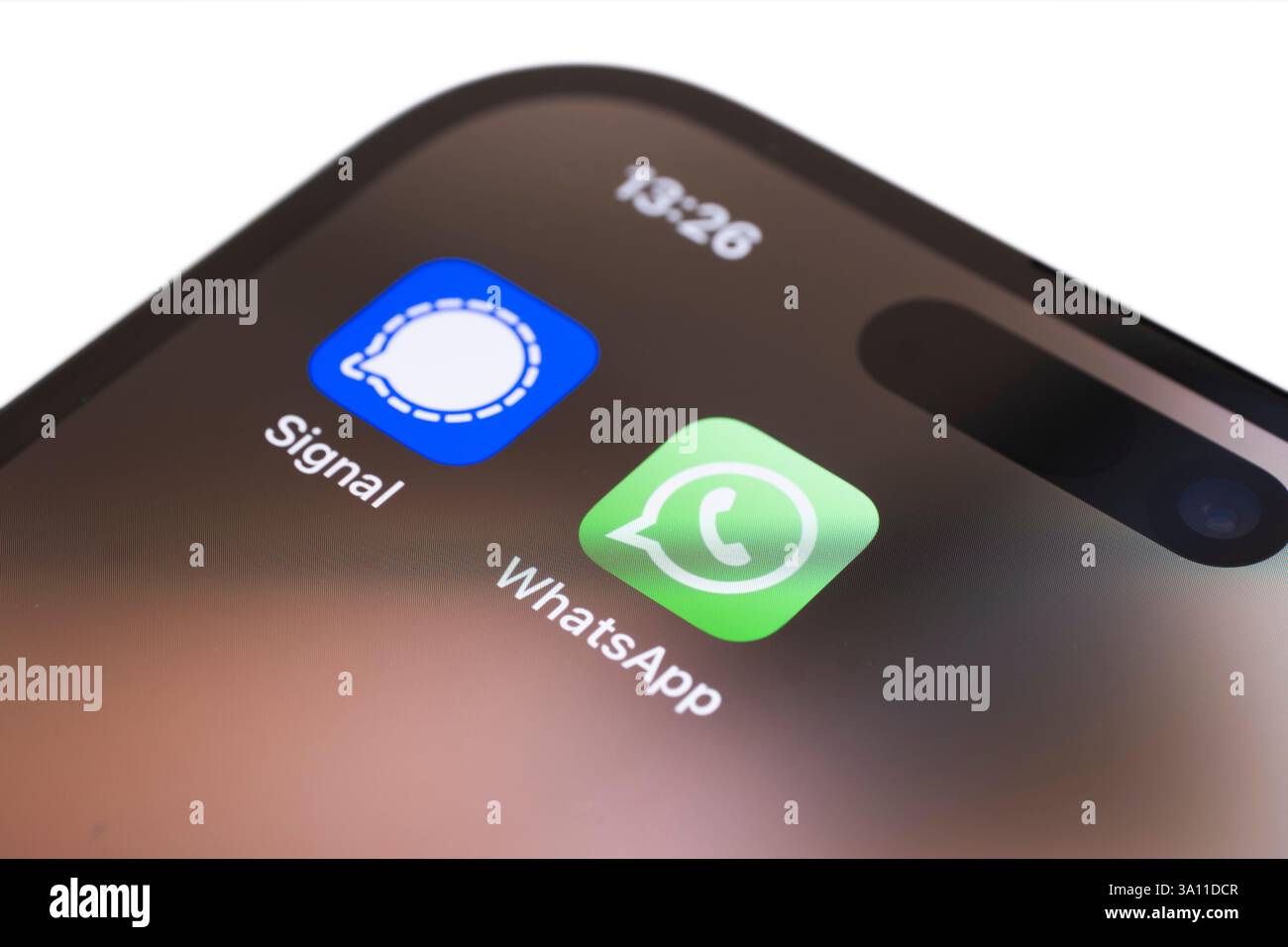 Mobiltelefon mit Signal- und WhatsApp-Anwendungen, alle zum Senden von Nachrichten, Dateien, Sprach- und Videos. Isoliert auf weiß Stockfoto