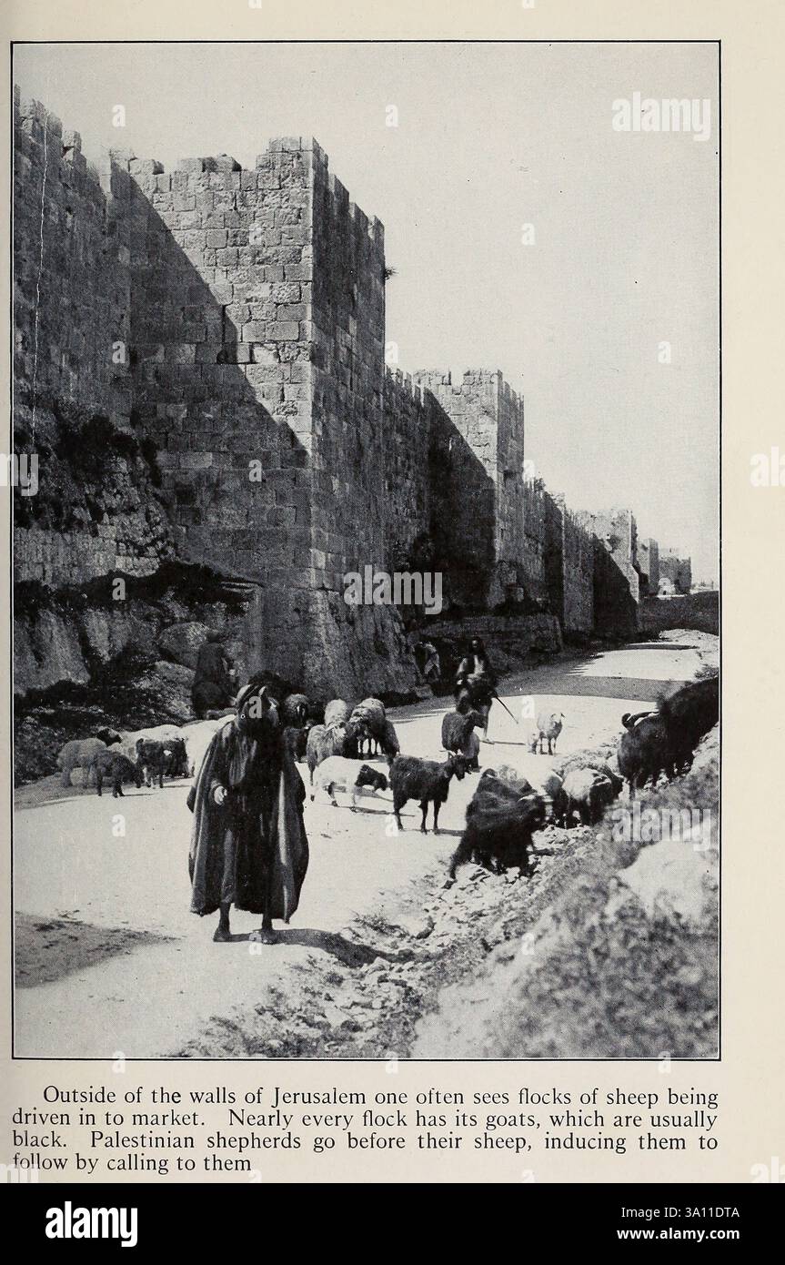 Herde von Schafen und Ziegen außerhalb der Mauern Jerusalems aus dem Heiligen Land und Syrien von Carpenter, Frank G. (Frank George), 1855-1924 veröffentlicht Garden City, N. Y., Doubleday, Page & Company 1922 Stockfoto