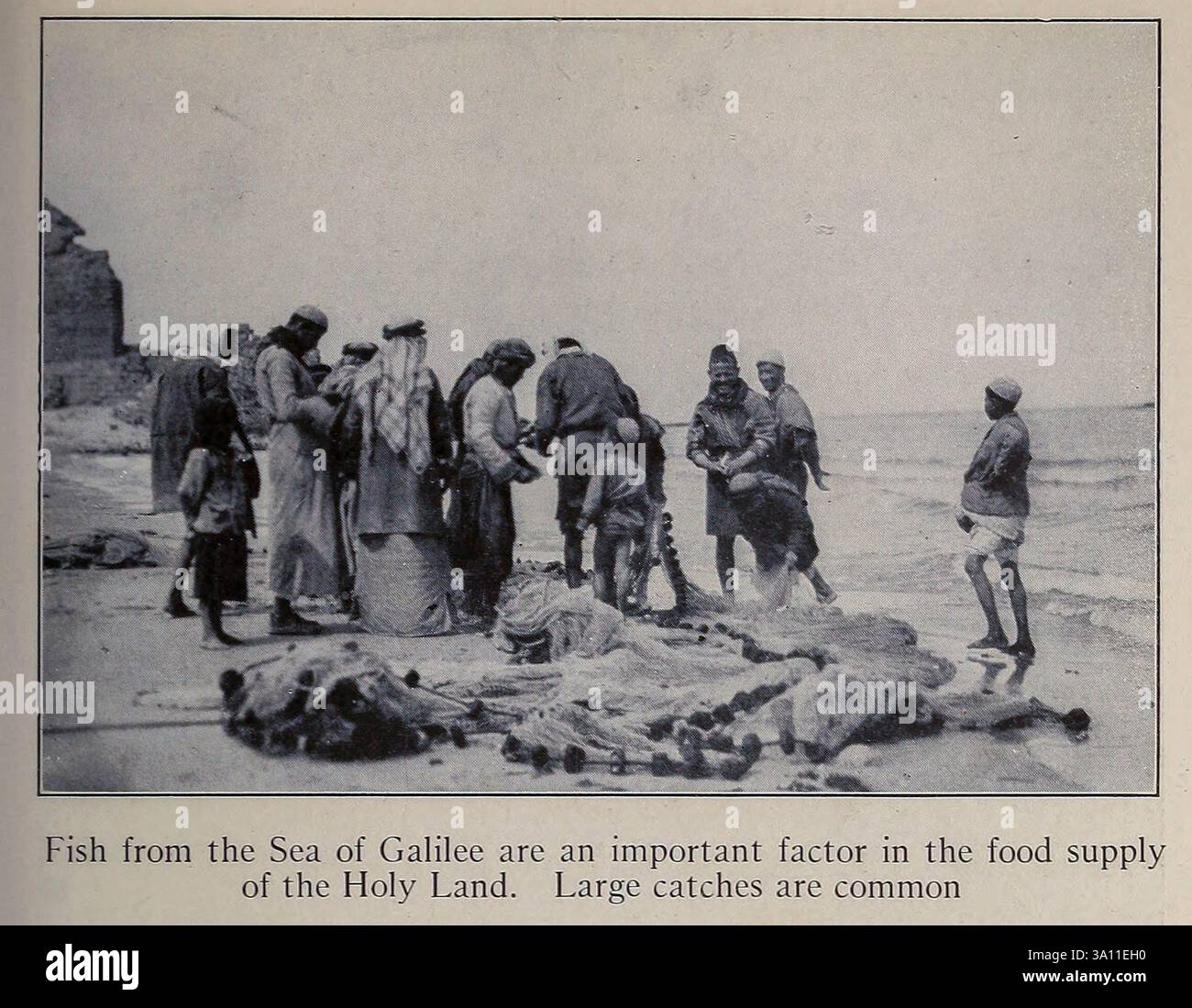 Fish from the Sea of Galiläa from ' the Holy Land and Syria ' von Carpenter, Frank G. (Frank George), 1855-1924 erschienen Garden City, N. Y., Doubleday, Page & Company 1922 Stockfoto