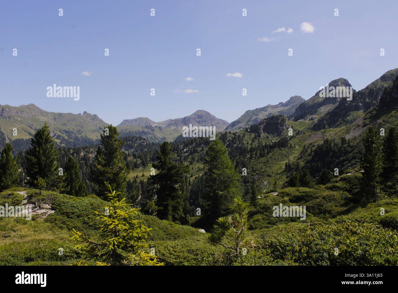 Passo Manghen, ein atemberaubender Bergpass im Herzen der italienischen Alpen, umgeben von üppig grünen Wiesen und zerklüfteten Gipfeln. Stockfoto