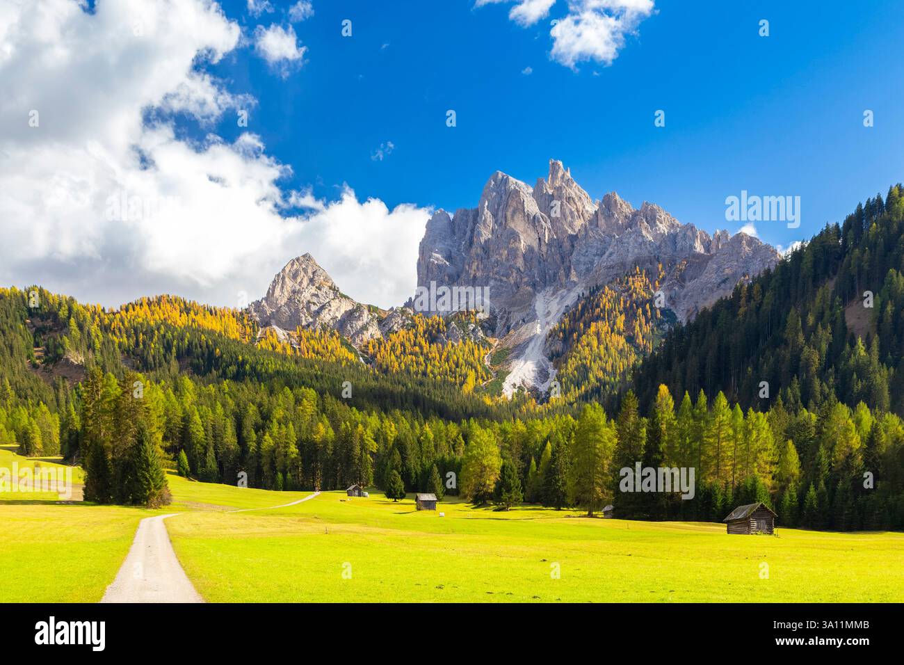 Blick auf Picco di Vallandro im Herbst. Europa, Italien, Südtirol, Pragstal, Provinz Bozen, Prags Gemeinde. Stockfoto