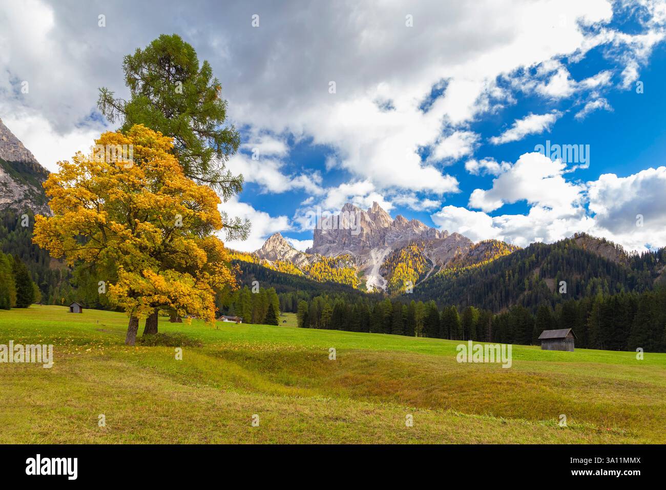 Blick auf Picco di Vallandro im Herbst. Europa, Italien, Südtirol, Pragstal, Provinz Bozen, Prags Gemeinde. Stockfoto