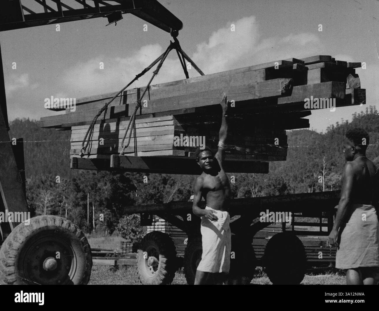 New Guineaseries -- Einheimische helfen beim Verladen einer LKW-Ladung mit vorgeschnittenem Holz auf dem Bulolo Gold Bagger **** Mühle für den Transport zur Landebahn, wo das Holz in ein Qantas-Frachtflugzeug für Lae geladen wird. Die Gesetze, die es den Einheimischen Papua-Neuguineas erlauben, alkoholischen Alkohol zu trinken, haben ein unerwartetes Ergebnis gehabt. September 1950. (Foto: Frederick John Halmarick/Fairfax Media). Stockfoto