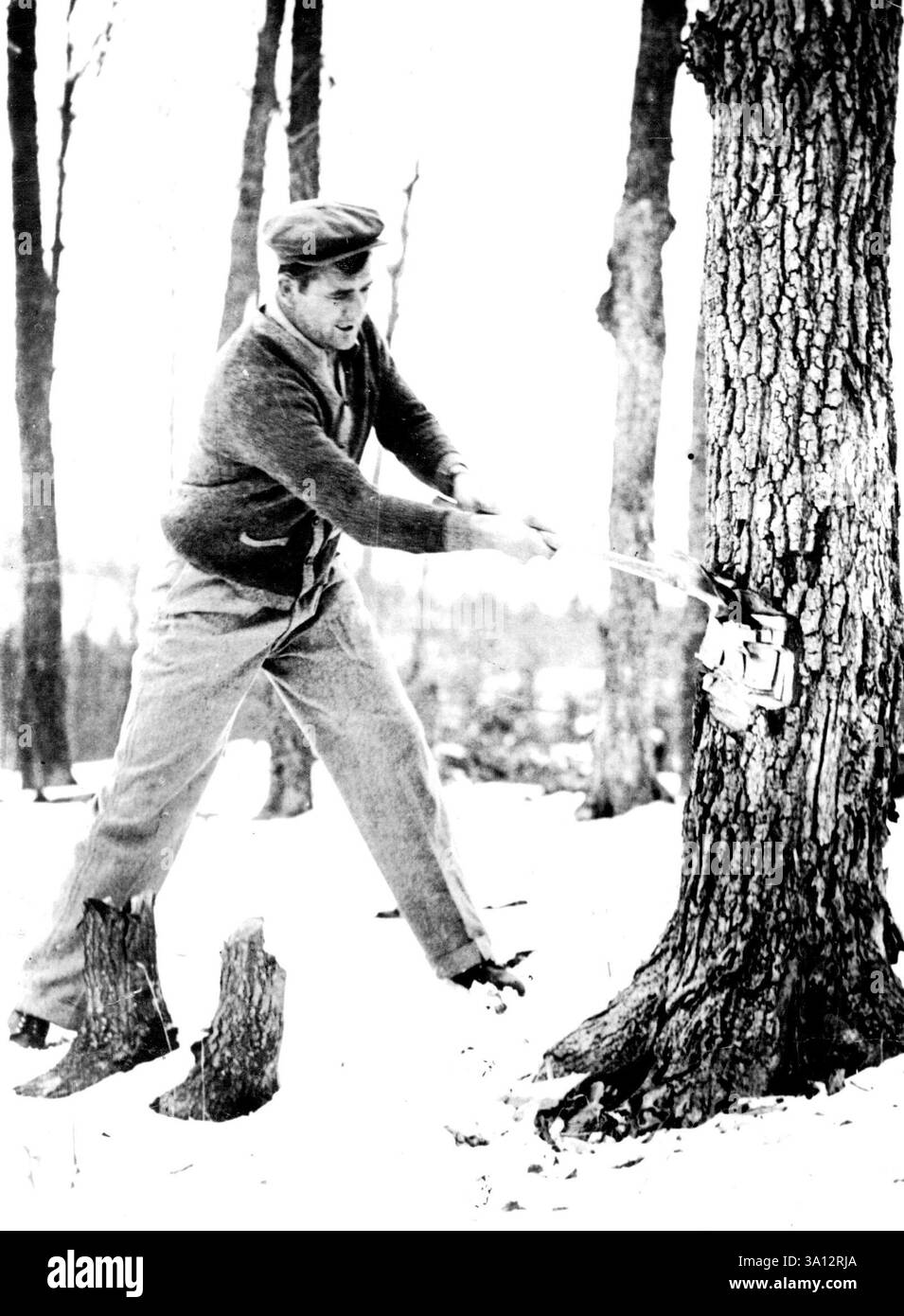 World Boxing Champion Wields the AxePhoto zeigt: Jams J. Braddock, World Heavyweight Boxing Champion, trainiert mit einer Axt am Stony Lake, Wisconsin, USA, in Vorbereitung auf die Verteidigung seines Titels gegen Joe Louis, den Brown Bomber in Chicago am 22. Juni. Der Champion wird gesehen, wie er Bäume im Lager abschneidet, wo er es fünf Wochen lang, um die richtige Konditionierung für seinen Kampf zu erreichen. April 1937. Stockfoto