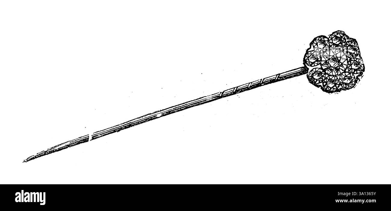Diamantnadel, viktorianische Schmuckgeschichte, Vintage-Illustration, 1890er Jahre, 19. Jahrhundert Stockfoto