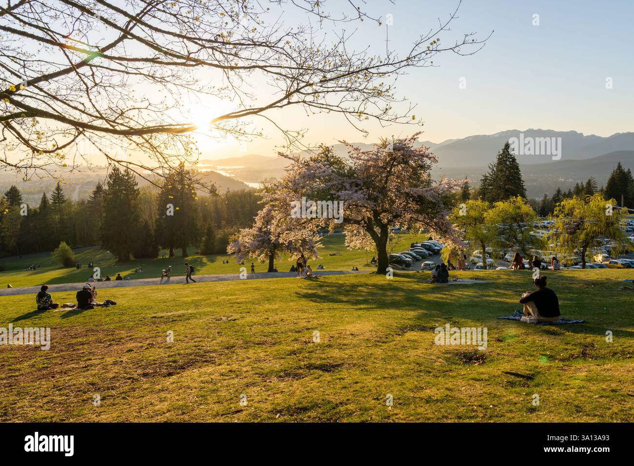 Burnaby, BC, Kanada - 18 2021. April : Burnaby Mountain Park bei Sonnenuntergang. Die Leute, die hier ein Picknick machen und Kirschblüten während des Frühlings genießen Stockfoto