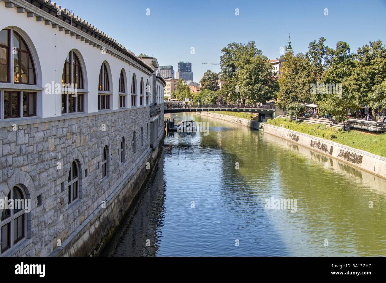 Ljubljanica und Metzgerbrücke im Hintergrund, Ljubljana, Slowenien Stockfoto