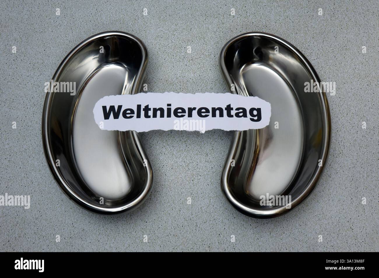 Nierenschalen mit Schriftzug Weltnierentag Nierenschalen mit Schriftzug Weltnierentag, 05.03.2025, Borkwalde, Brandenburg, auf zwei Nierenschalen liegt der Schriftzug Weltnierentag. *** Kidneyschalen mit Weltnierentag-Aufschrift Kidneyschalen mit Weltnierentag-Aufschrift, 05 03 2025, Borkwalde, Brandenburg, Weltnierentag-Aufschrift auf zwei Nierentagen Stockfoto