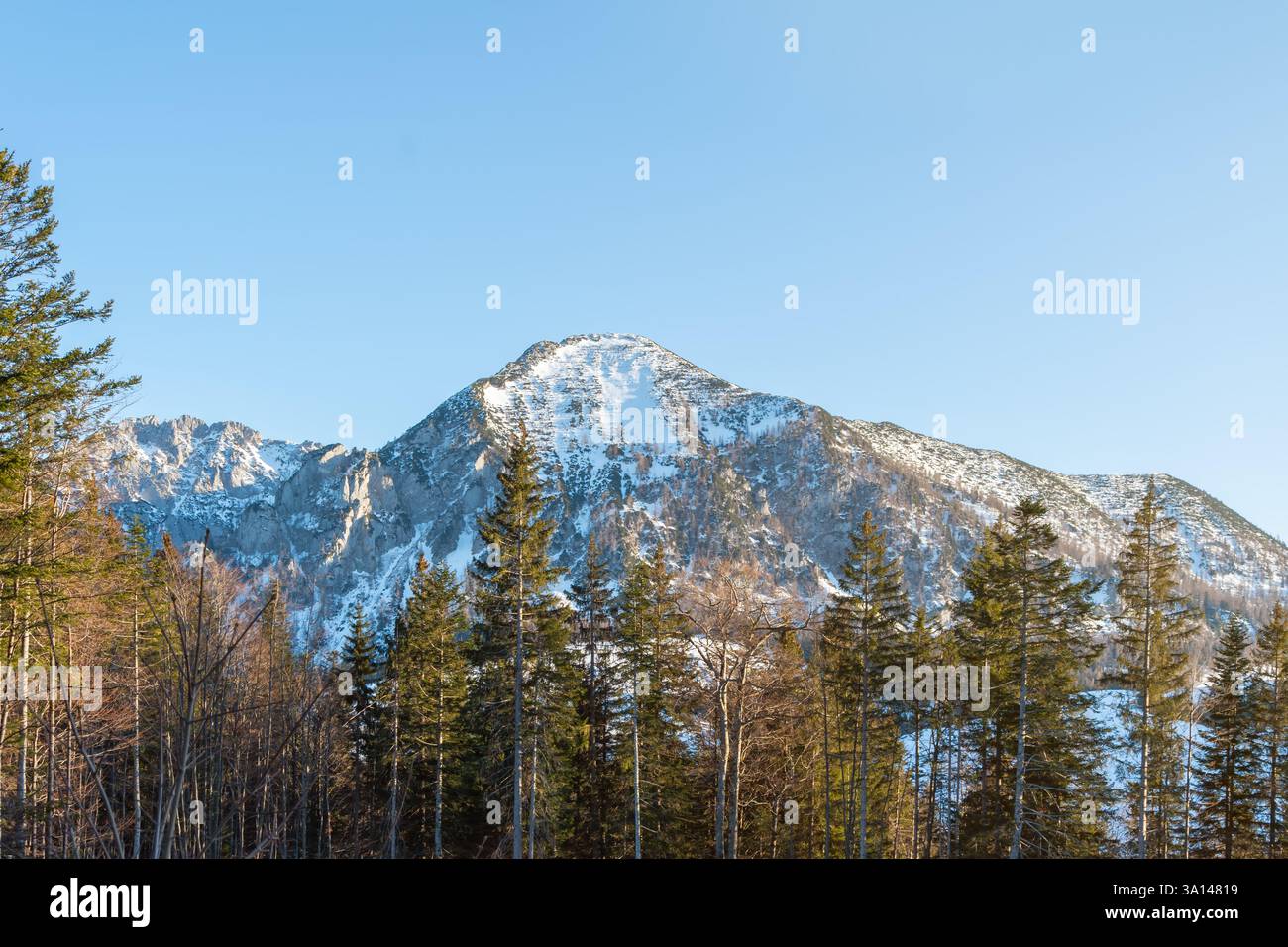 Saubere Bergluft und unberührte Natur: Berggipfel, Schnee und Sonne schaffen die perfekten Voraussetzungen für einen Urlaub im Freien Stockfoto