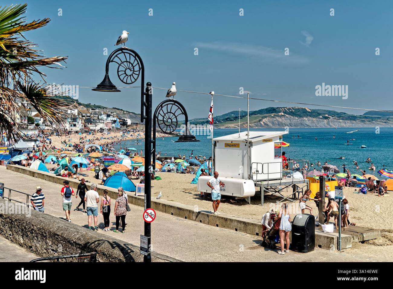 Lyme Regis, Dorset, England, Großbritannien - Juli 31 2024: Lyme Regis an einem heißen Sommertag im Juli 2024 Stockfoto