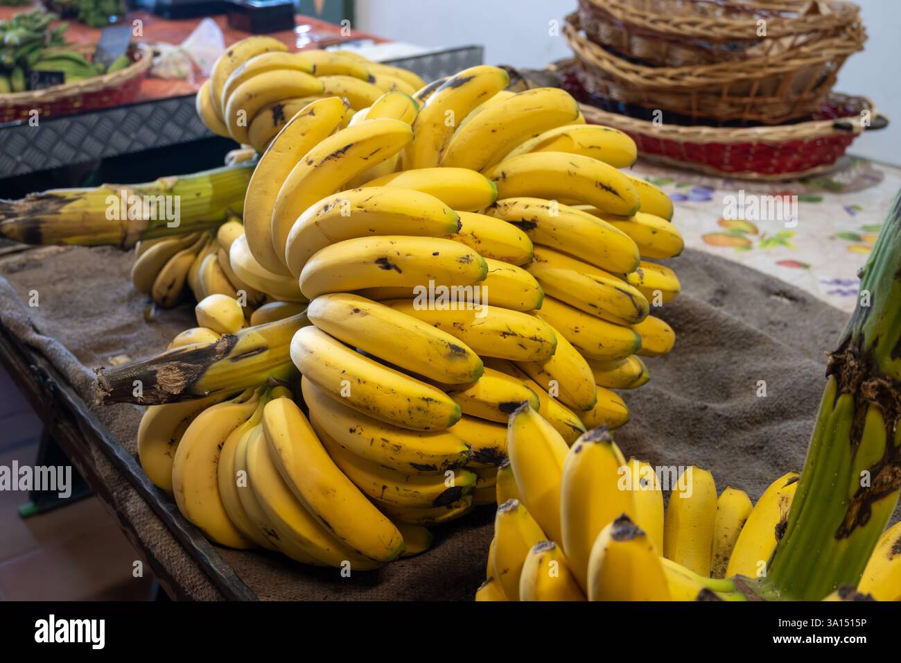 Frische reife tropische Früchte kanarische Bananen in Trauben auf dem Bauernmarkt auf Teneriffa, den Kanarischen Inseln und Spanien, lokale Lebensmittel und Produkte Stockfoto