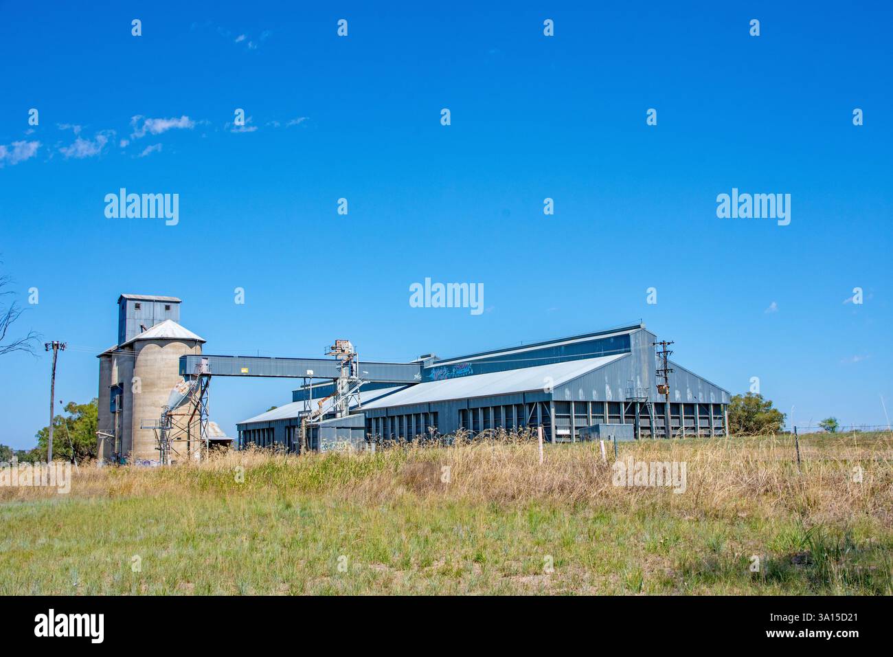 Der Warral Grain Silo-Komplex von Grain Corp in Tamworth, Australien. Stockfoto