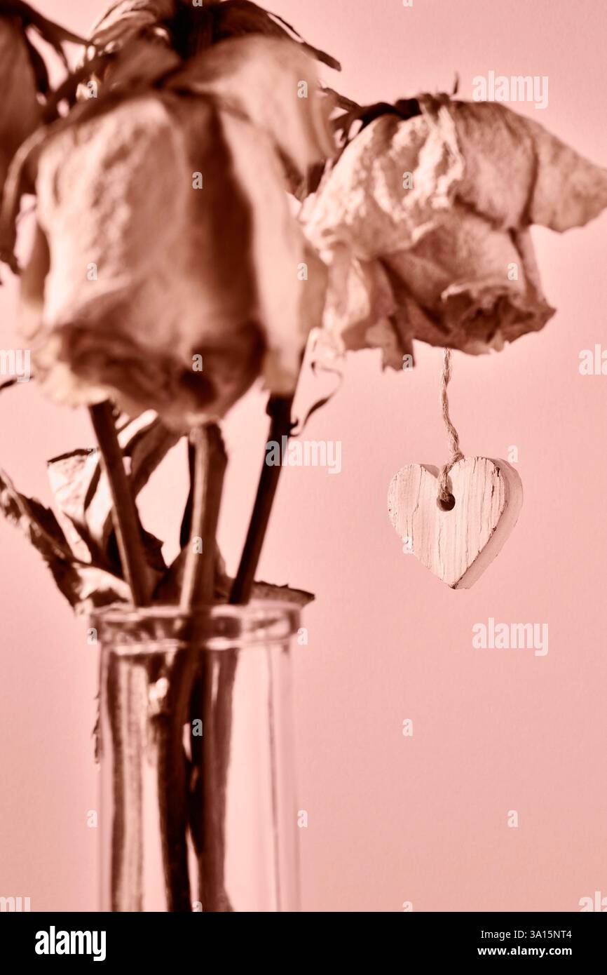 Braune hölzerne herzförmige und getrocknete Blumen in Vase, Paarbeziehung oder Valentinstag, Leidenschaft und Liebe Stockfoto