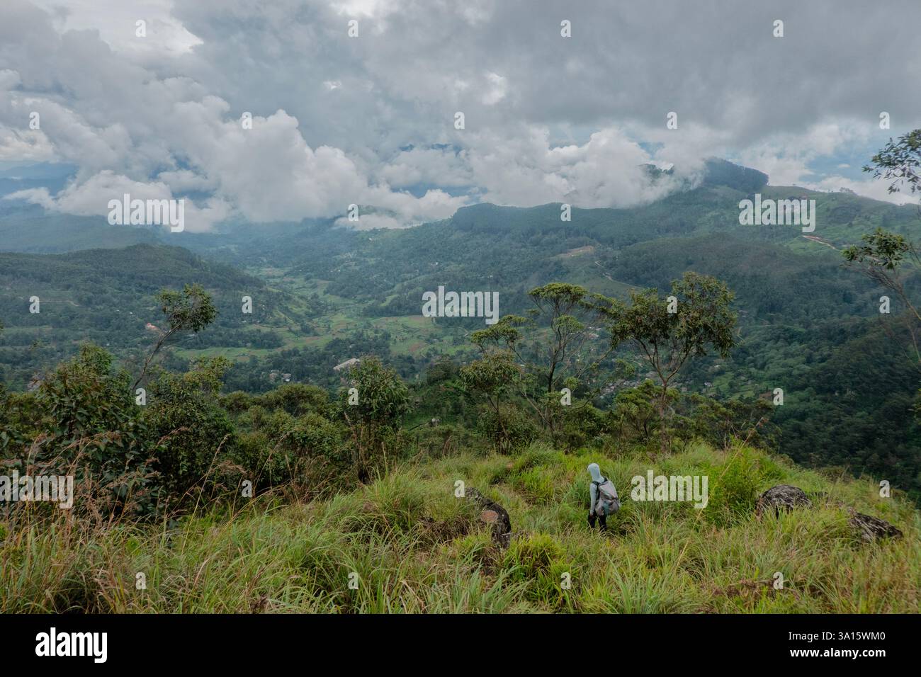 Wandern auf dem Pekoe Trail, Haputhale, Sri Lanka Stockfoto