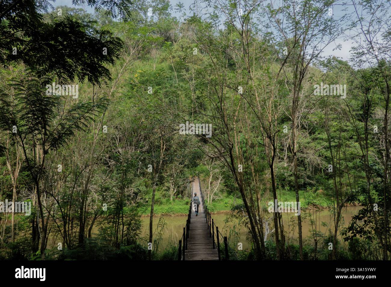 Überqueren Sie den Uma Oya Fluss auf dem Pekoe Trail, Sri Lanka Stockfoto