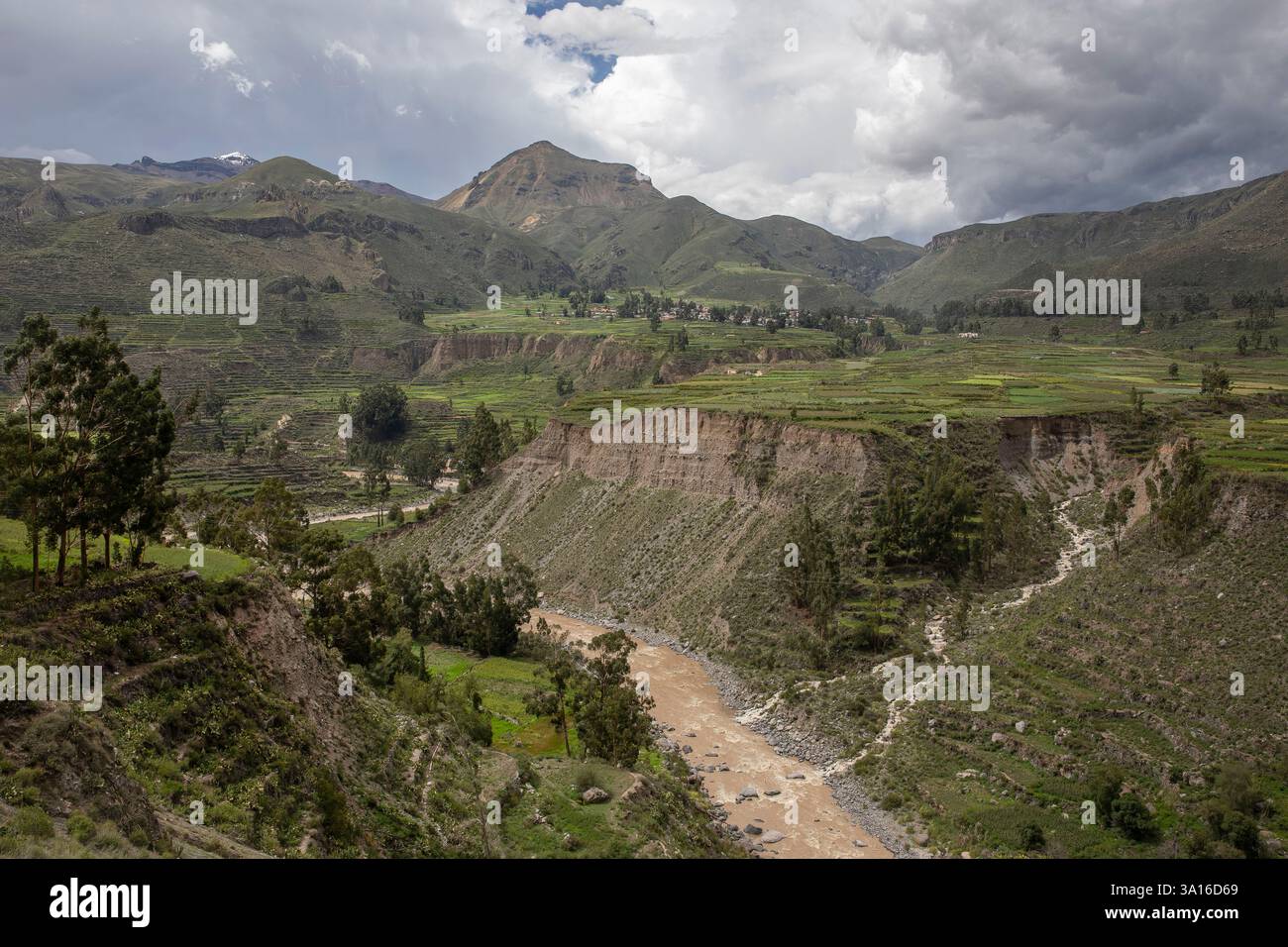 Peru, Andenkordillera, Colca-Tal, Tarapoto, Colca-Fluss, es fließt durch ein üppiges, grünes Tal mit Blick auf die Gipfel der Anden Stockfoto