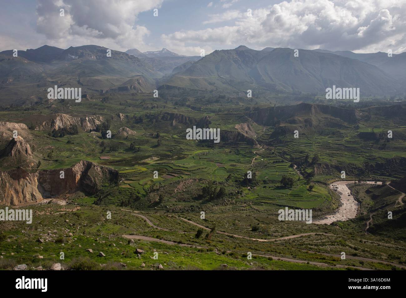 Peru, Andenkordillera, Colca-Tal, Tarapoto, Colca-Fluss, es fließt durch ein üppiges, grünes Tal mit Blick auf die Gipfel der Anden Stockfoto