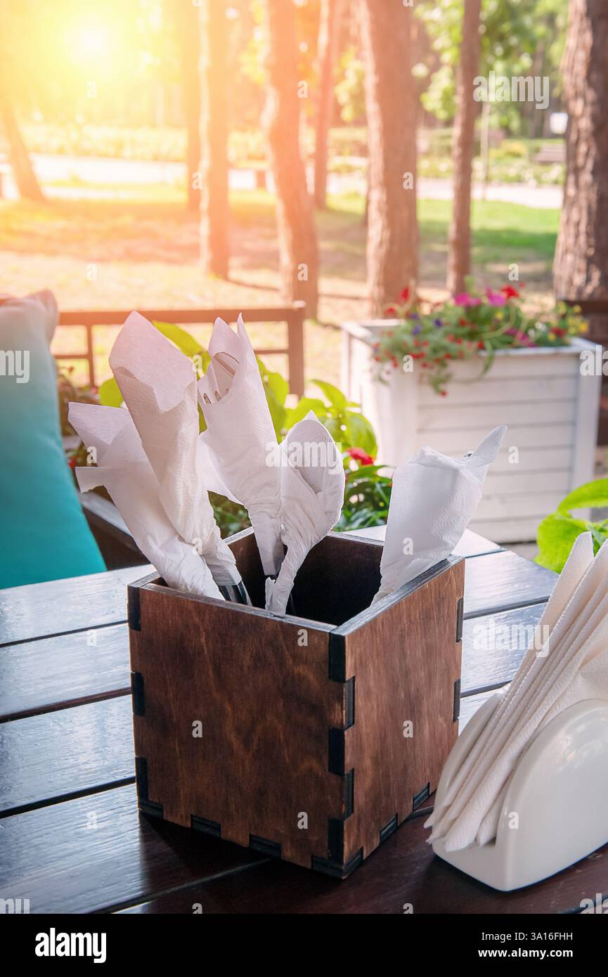 Der rustikale Holzbehälter bietet Platz für ordentlich angeordnetes Besteck und einen weißen Serviettenhalter in einer ruhigen Gartenumgebung, die zum Essen im Freien und relaxa einlädt Stockfoto