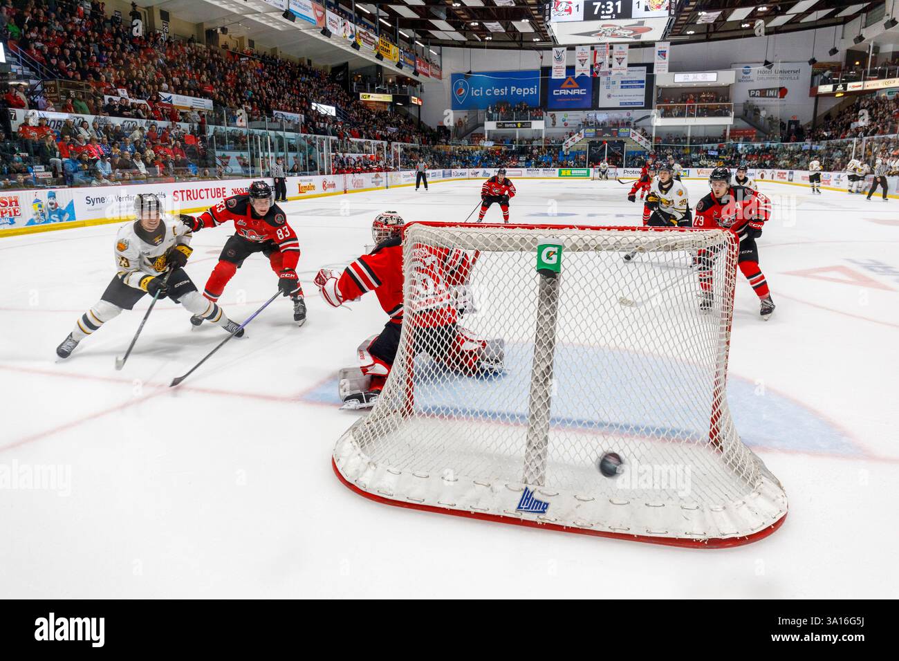 Kanada, Quebec, Provinz Quebec, Drummondville, Quebec Junior Major League Hockeyspiel Stockfoto