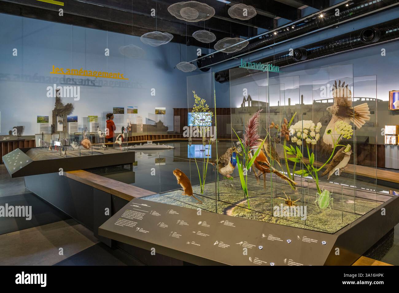 Frankreich, Loire Atlantique, Cordemais, das Entdeckungszentrum Terre d’Estuaire Stockfoto