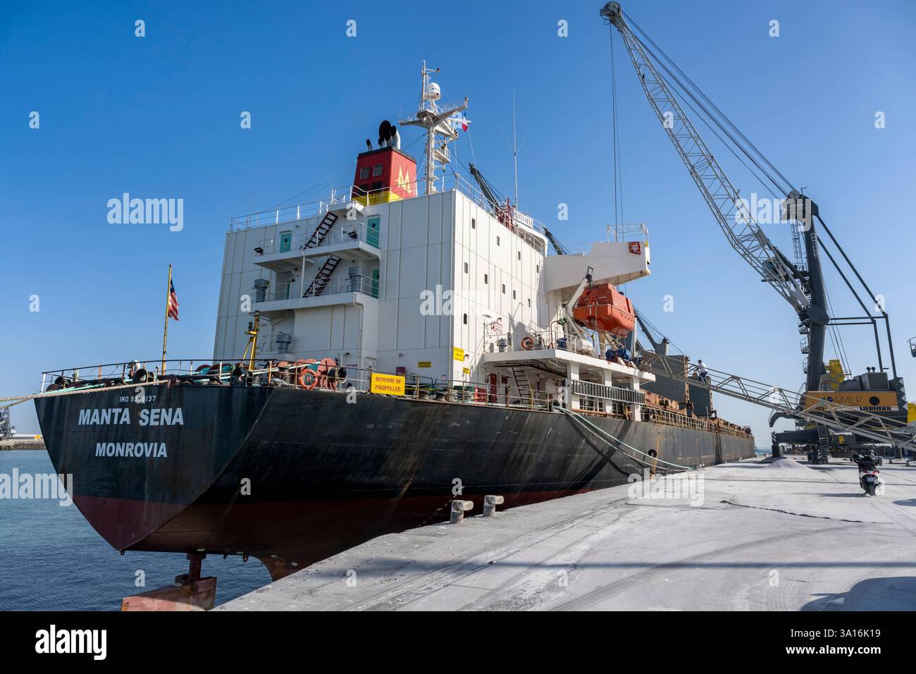 Frankreich, Charente Maritime, La Rochelle, Port Atlantique La Rochelle, Handelshafen La Pallice, Entladung einer Ladung an Docks vom Maulwurf des Anrufs Stockfoto