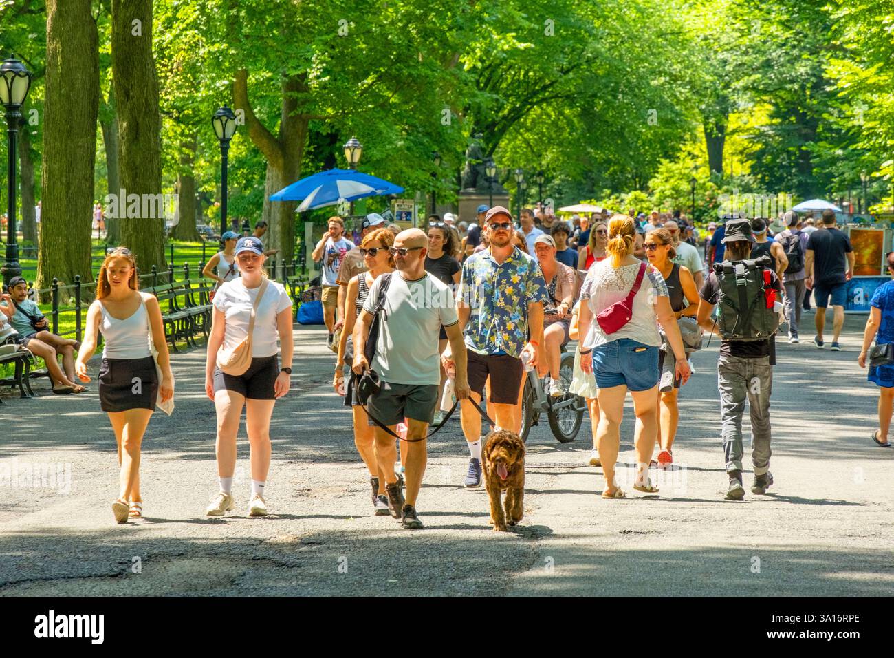 Usa, New York State, New York City, Manhattan, Central Park, die Mall Stockfoto