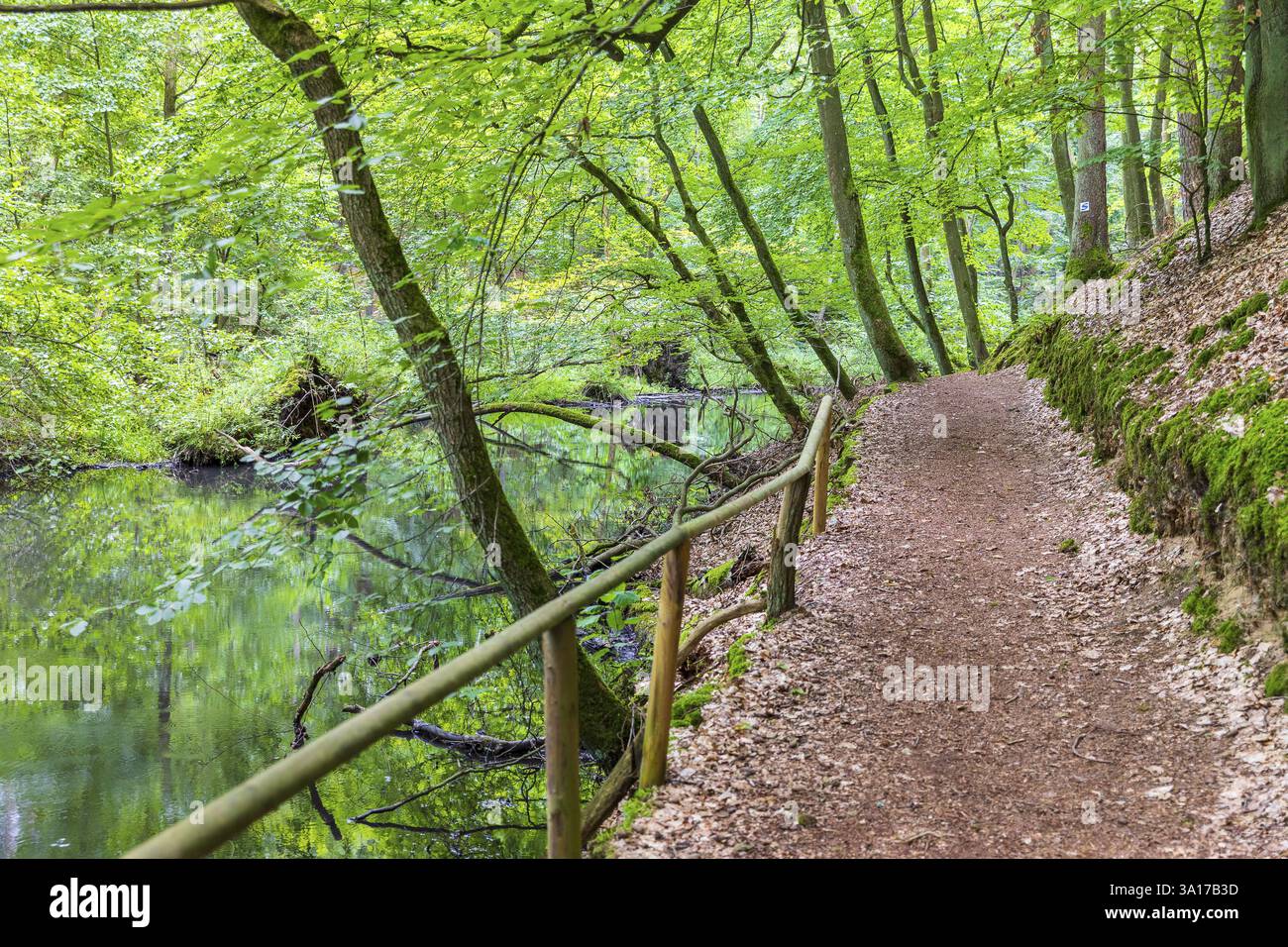 Schlaube im romantischen Schlaubetal, oder-Spree-Bezirk, Brandenburg, Deutschland, Europa Stockfoto