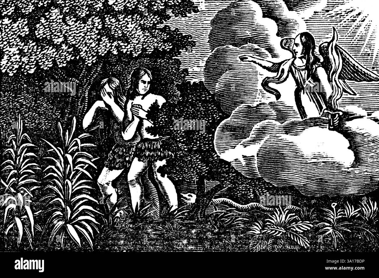 Vertreibung aus dem Paradies, Folgen der ersten Sünde, Schlange, Versuchung, Trauer, Himmel, Sonnenstrahlen, Genesis, Holzschnitt, Christoph Schmidts Bibel Stockfoto