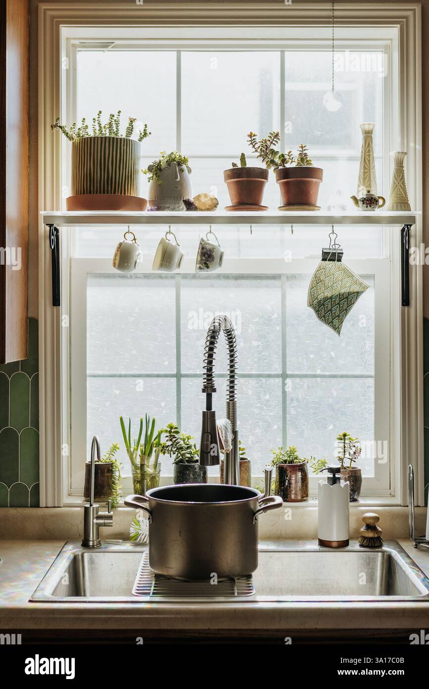 Blick auf das Küchenfenster mit Waschbecken, Suppentopf und wachsenden Pflanzen Stockfoto