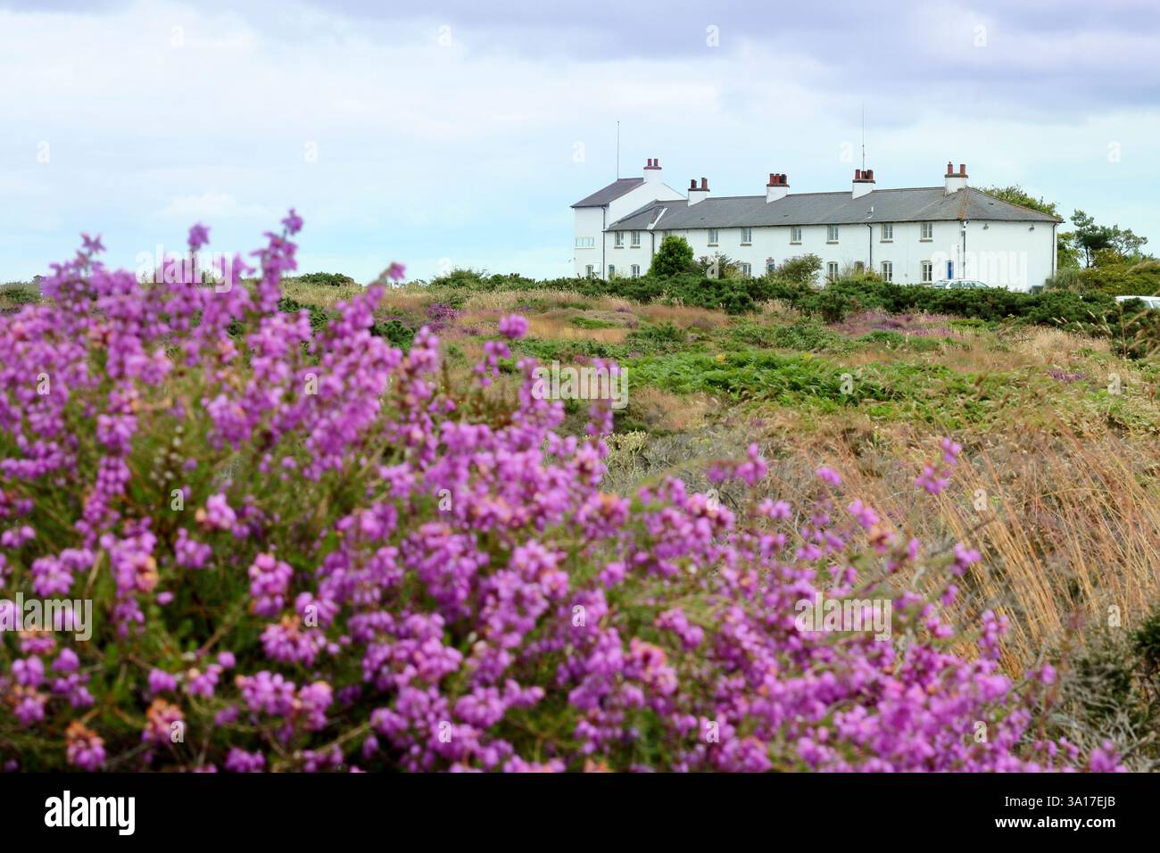 Coastguard Cottages von Dunwich Heath aus gesehen an der Küste von Suffolk, Dunwich, Suffolk, Großbritannien Stockfoto