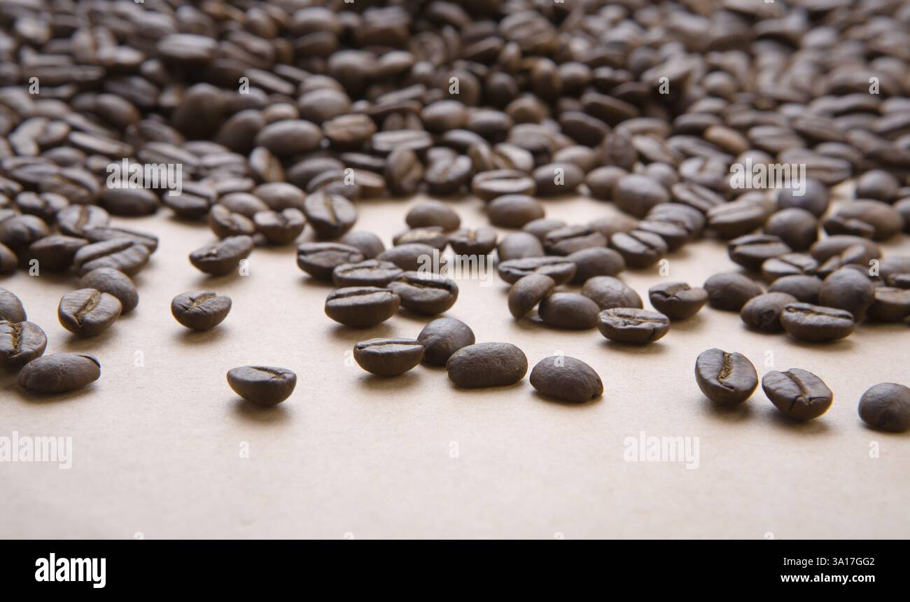 Hintergrund von Kaffeekörnern auf einem Papier Stockfoto