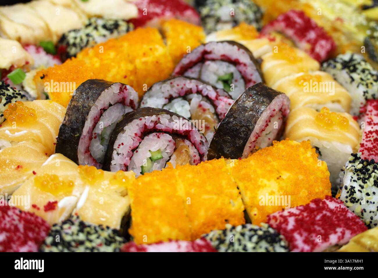 Sushi mit Lachs, Gurke und Reh. Variation der Rollen in Nahaufnahme Stockfoto