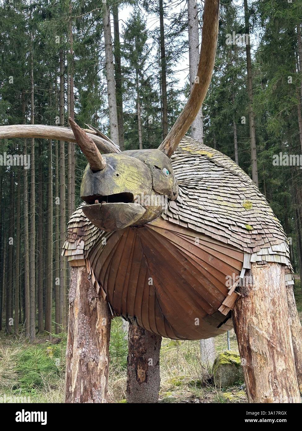 Der Moorwald in Bad Leonfelden ist ein idyllisches Naturschutzgebiet in Oberösterreich mit dichten Wäldern, mystischen Moorlandschaften und Wanderwegen - Smartphone-aufgenommenes Stockfoto