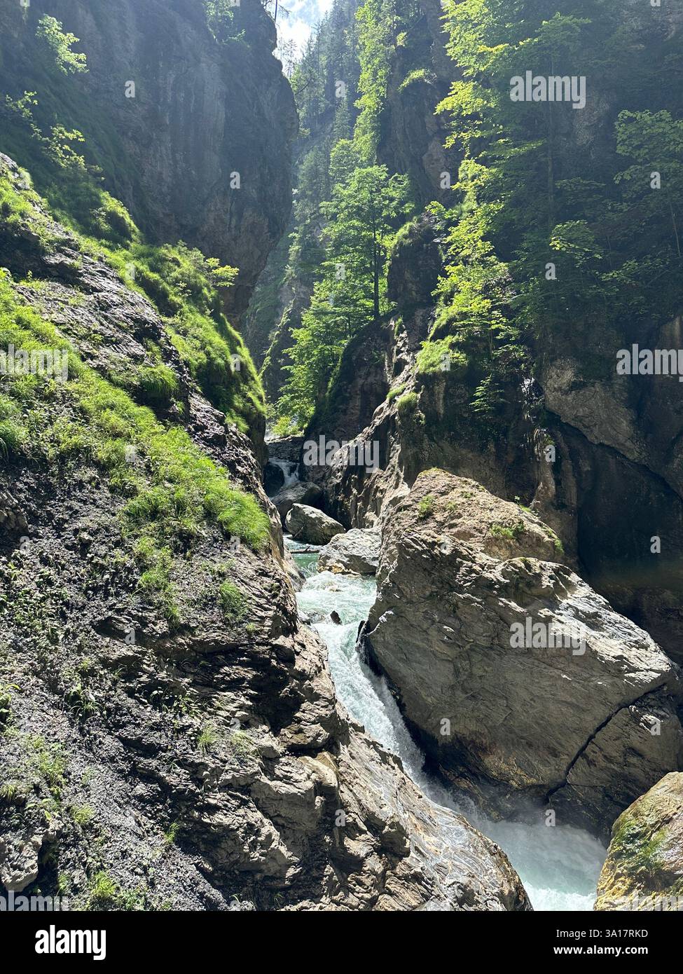 Der Moorwald in Bad Leonfelden ist ein idyllisches Naturschutzgebiet in Oberösterreich mit dichten Wäldern, mystischen Moorlandschaften und Wanderwegen - Smartphone-aufgenommenes Stockfoto