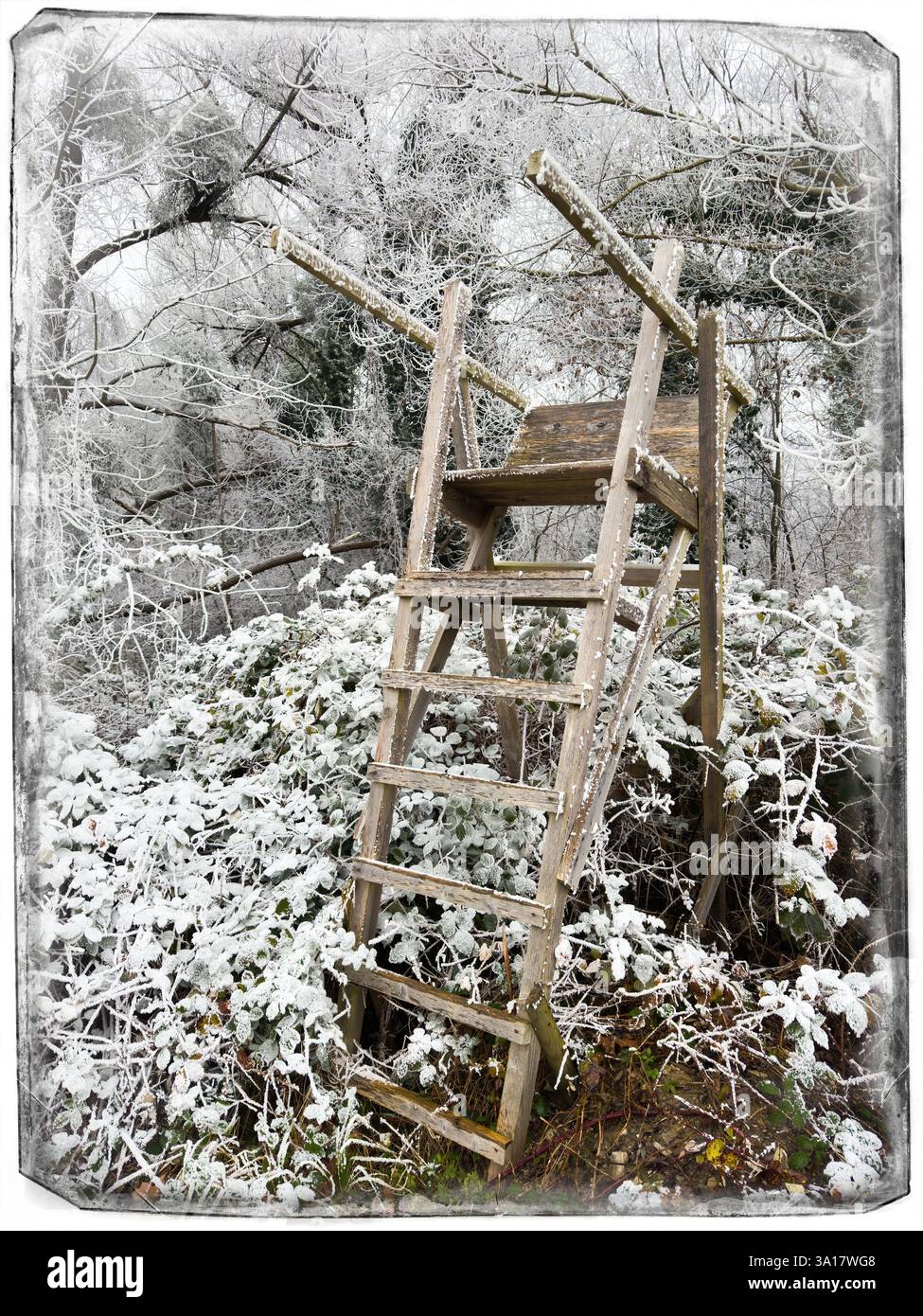 Der digitale Rahmen eines mit Frost bedeckten hölzernen Jagdstandes steht in einem ruhigen Wald, dessen robuste Struktur sich vom zarten Frost des abhebt Stockfoto