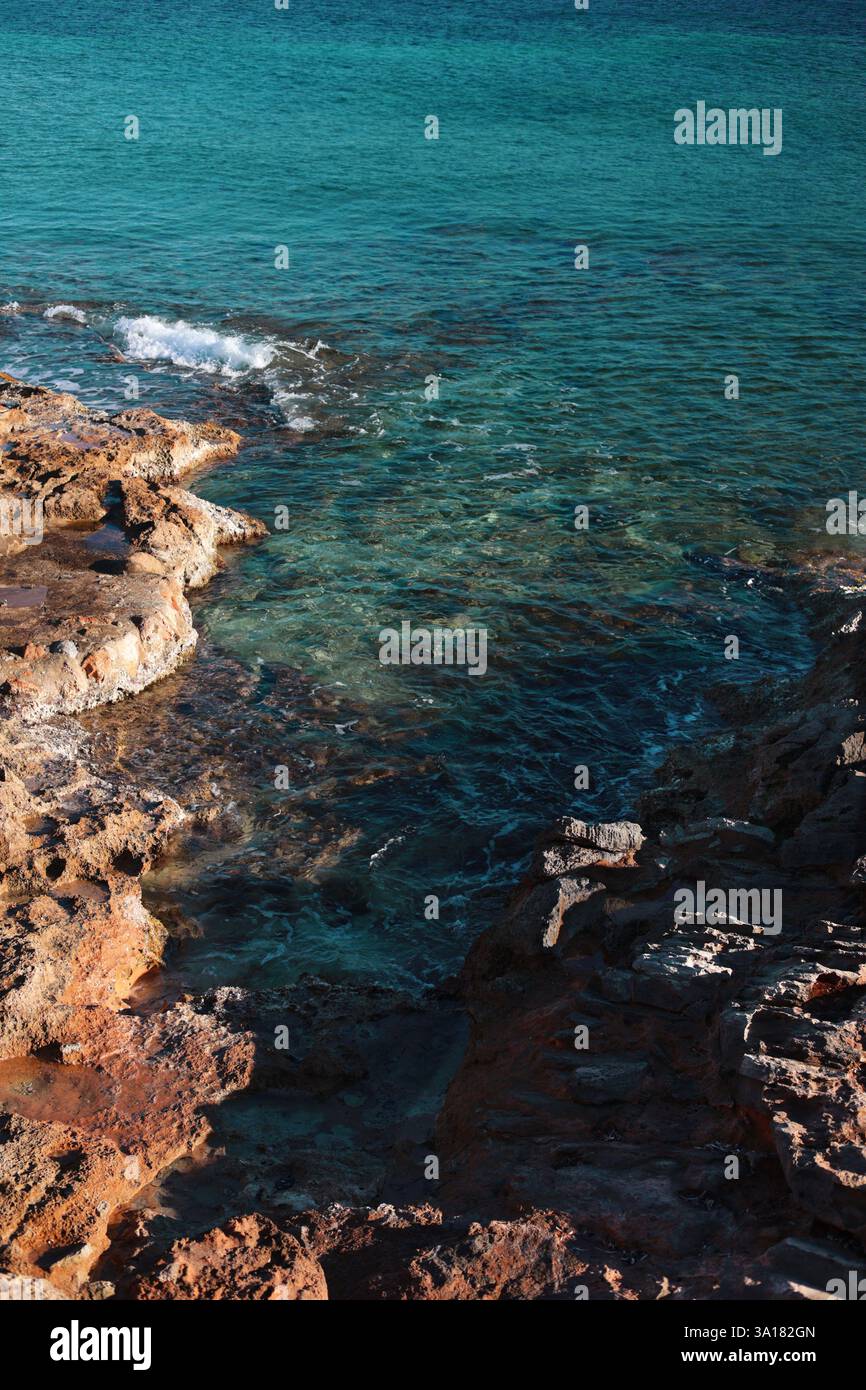 Strand am Meer mit Kiefern. Wasser von ungewöhnlicher Farbe Türkis. Frühlingsmeer Stockfoto