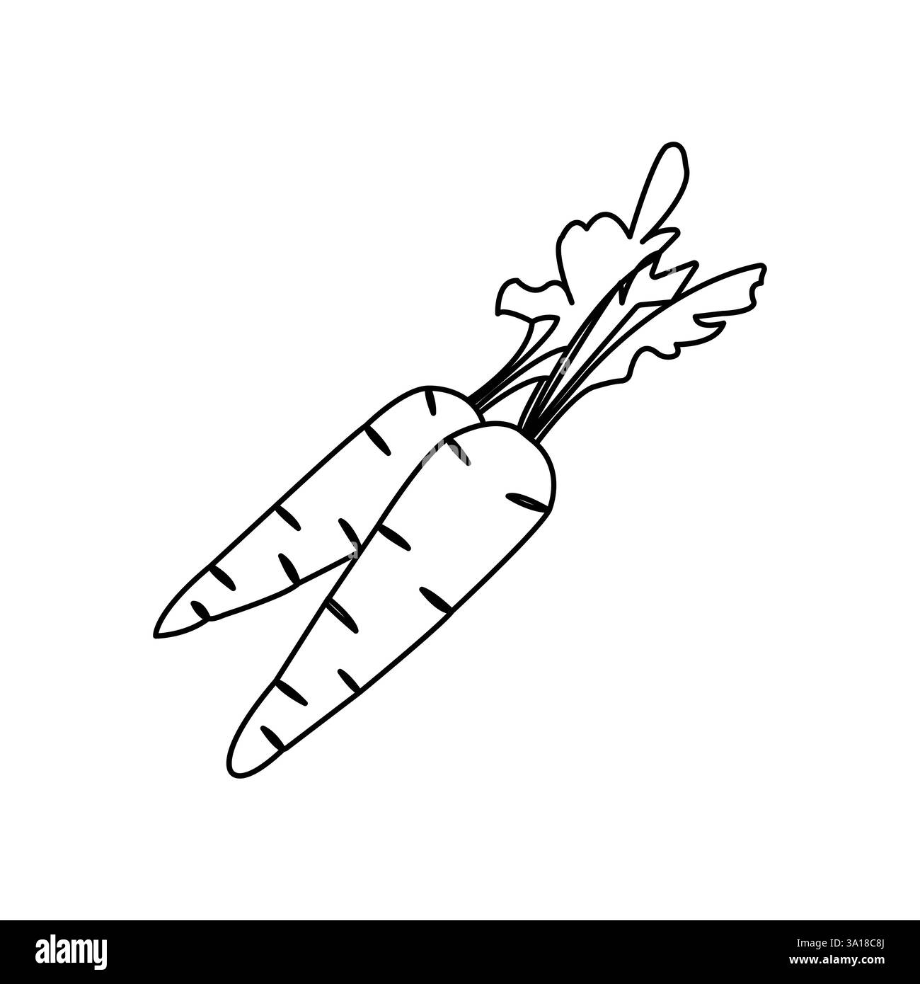 Einfache Karottengemüse durchgehende einzeilige Zeichnung der Karottenpflanze minimalistische Umrissvektor-Symbol Stock Vektor
