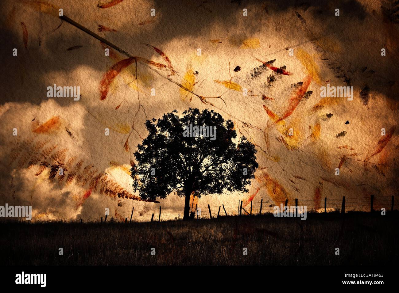 Ein hoher, einsamer Baum steht auf einem grasbewachsenen Hügel, der sich vor einem stimmungsvollen Himmel voller Wolken und herabfallender Herbstblätter befindet. Stockfoto