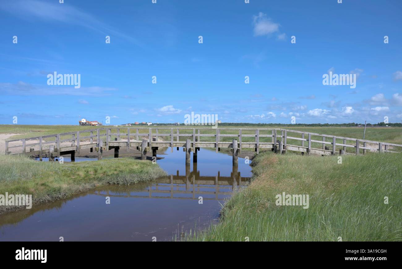 Salzmarsch in Sankt Peter-Ording Dorf auf der Halbinsel Eiderstedt, Nordsee, Nordfriesland Stockfoto
