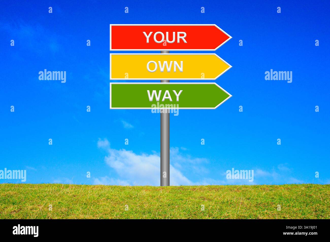 Wegweiser grün gelb rot auf grüner Wiese vor blauem Himmel zeigt Ihren eigenen Weg Stockfoto