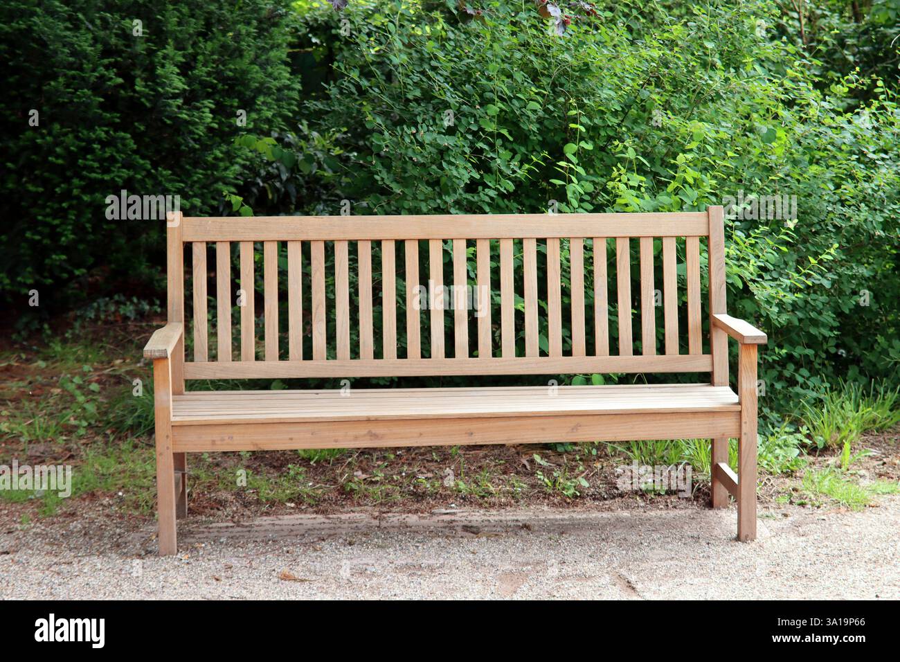 Holzbank im park Stockfoto