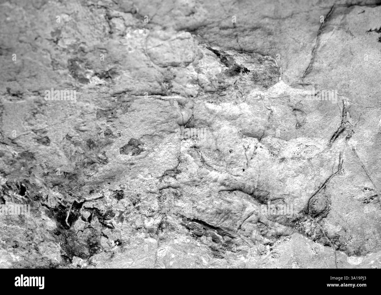 Abstrakte horizontale Steintapete mit Textur in Grautönen. Horizontale Grafikressource für Hintergründe mit selektiver Weichzeichnung. Hohe Qualität. Kopieren Stockfoto