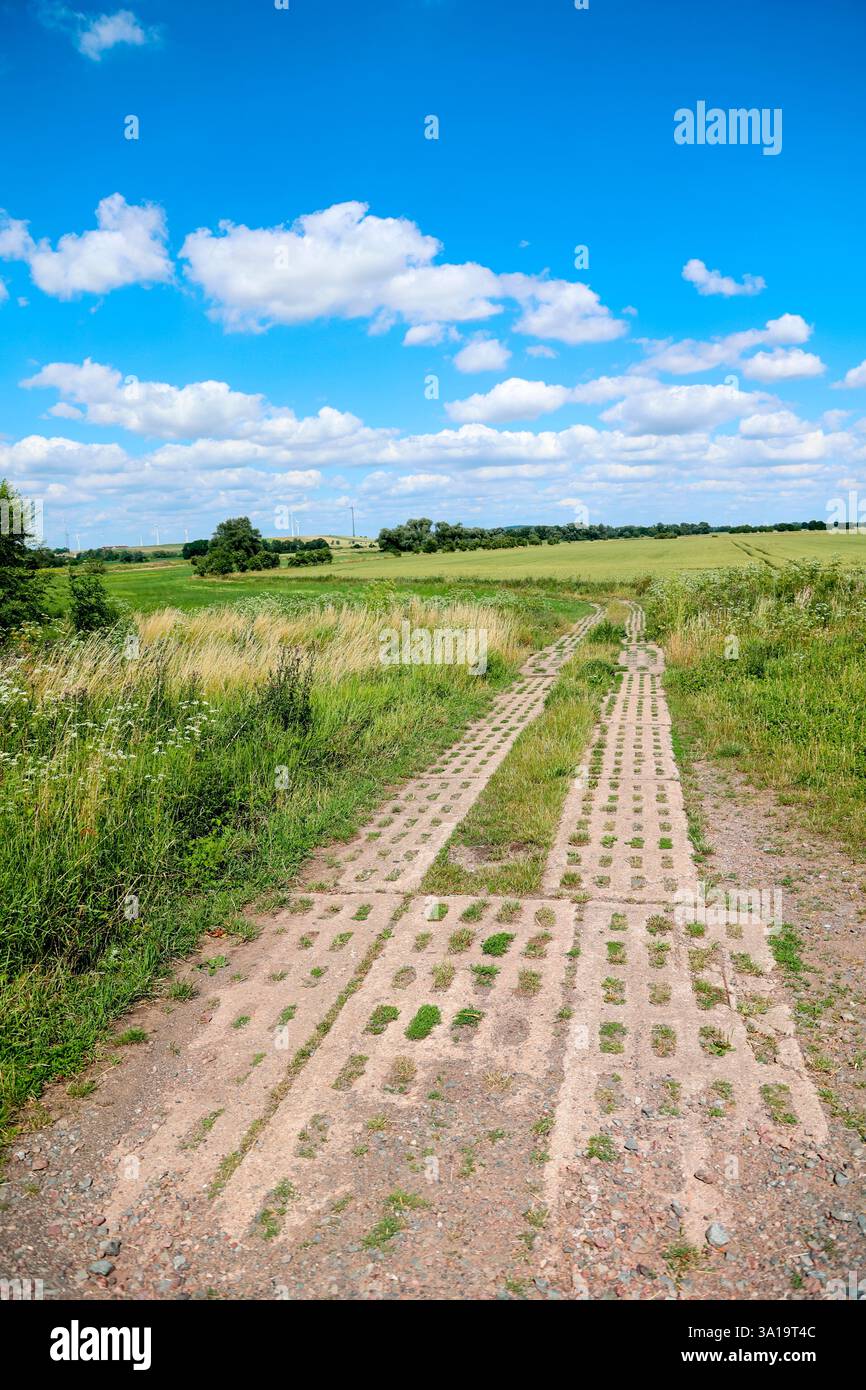Der Säulenweg entlang der innerdeutschen Grenze, auf dem sich die Fahrzeuge der Grenztruppen bewegten Stockfoto