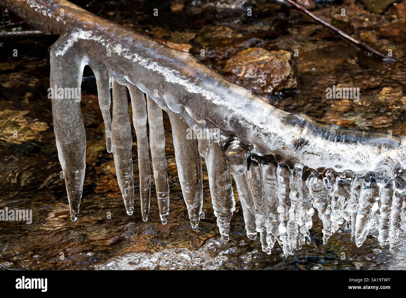 Nach einer kalten Nacht am Bach - Eiszapfen über einem Bach Stockfoto