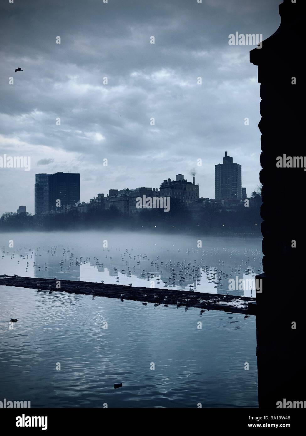 Central Park Lake mit Nebel am Nachmittag in New York City, NY - Smartphone-aufgenommenes Stockfoto