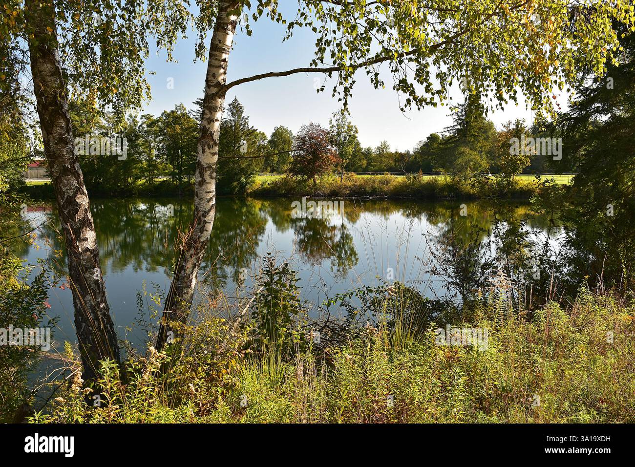 Es ist Herbst in Bonauer Weiher, Moosburg an der Isar, Oberbayern Stockfoto