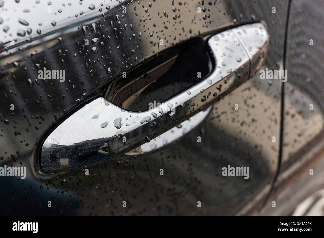 Schwarz glänzendes Auto Nahaufnahme des Türgriffs der Fahrertür mit Regentropfen. Selektiver Fokus und oberer Freiheitsgrad Stockfoto